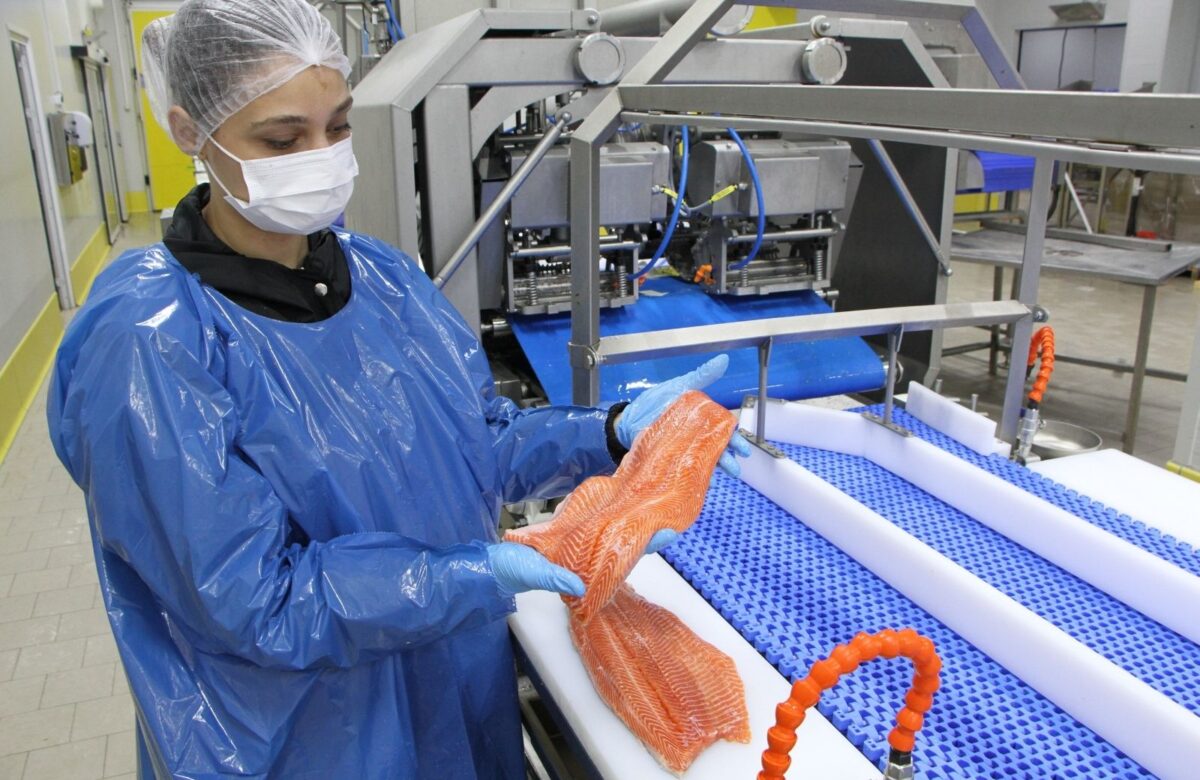 Türk Somonu için 4 dilde tanıtım filmi hazırlandı