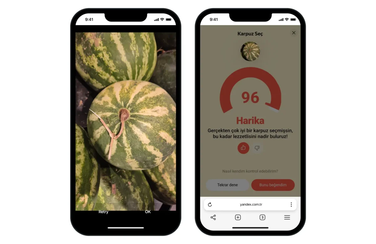 Lezzetli Karpuzun Sırrı Yapay Zekâda